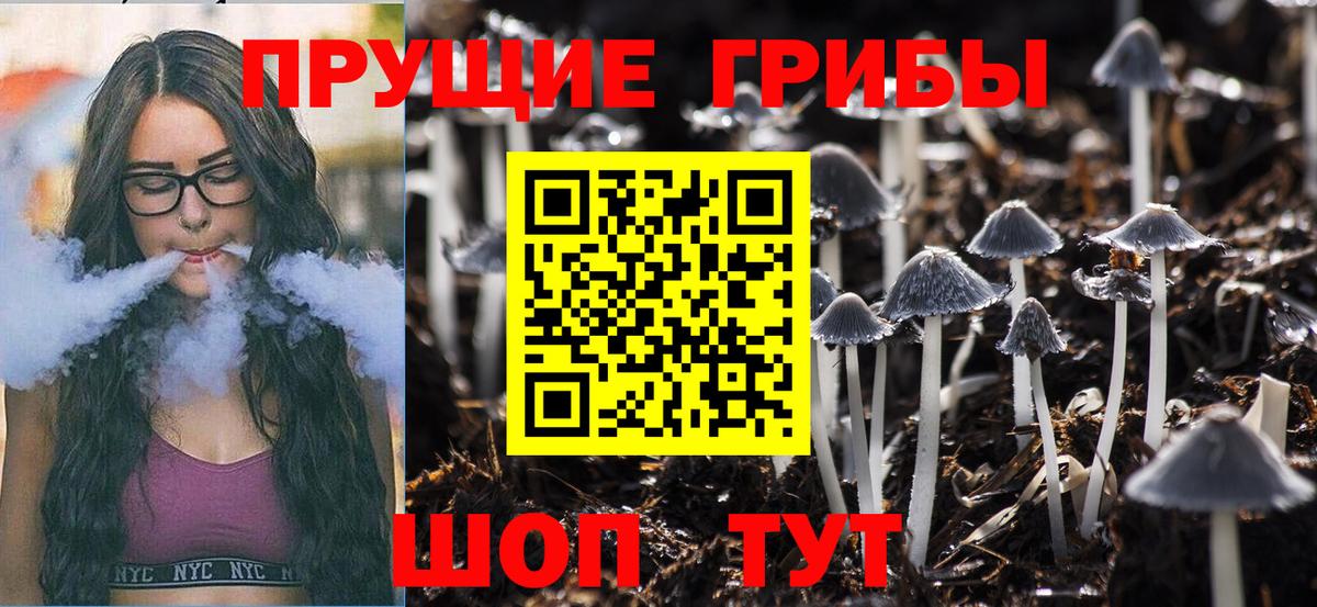 Галлюциногенные грибы ЛСД  Вход с VPN  Псилоцибиновые грибы Cubensis  Канаш 